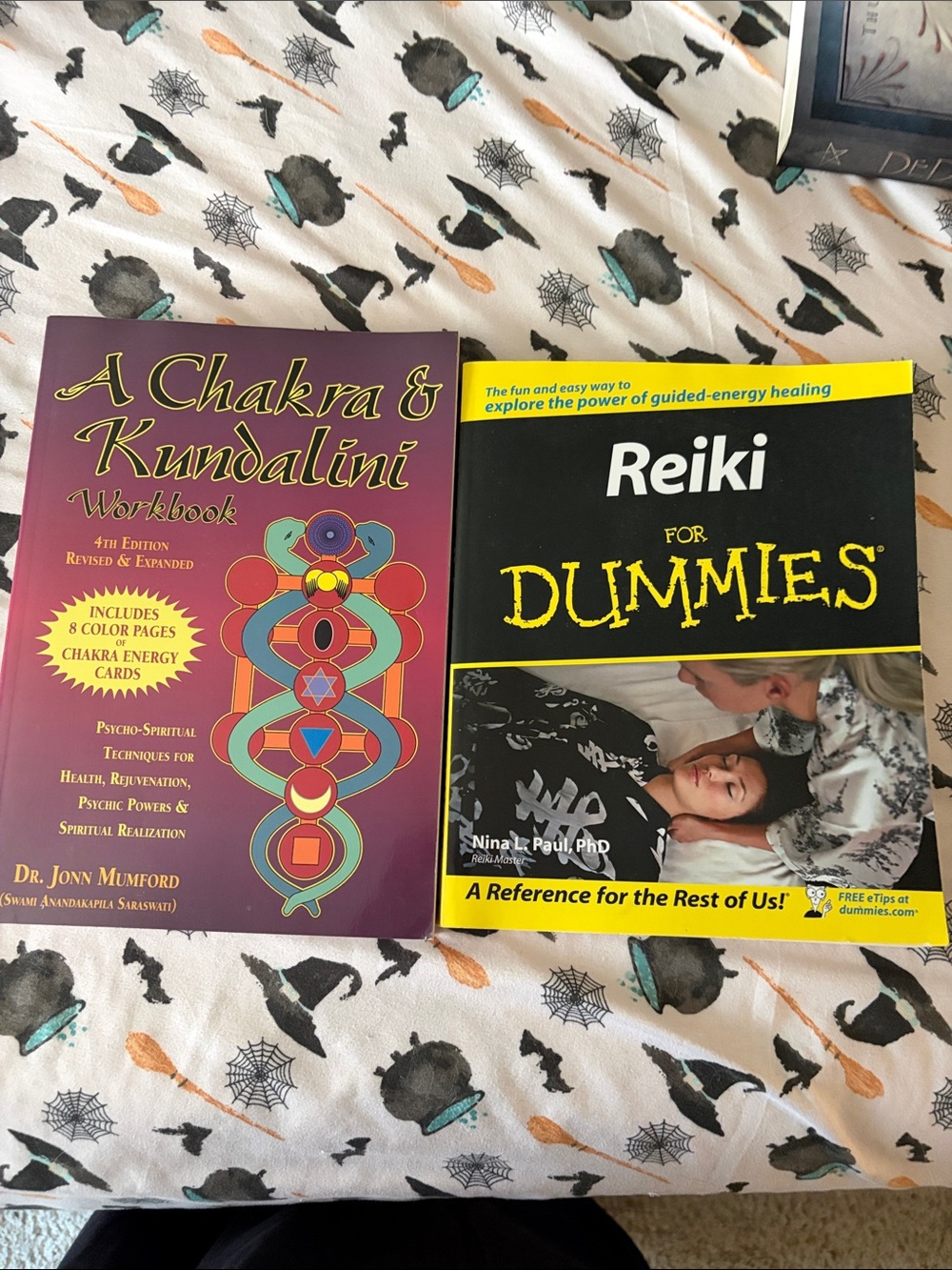 Two Book Set- Reiki for Dummies/ A Chakra and Kundalini Workbook